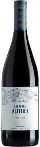 Andeluna Altitud Pinot Noir Maceración Carbónica 2025